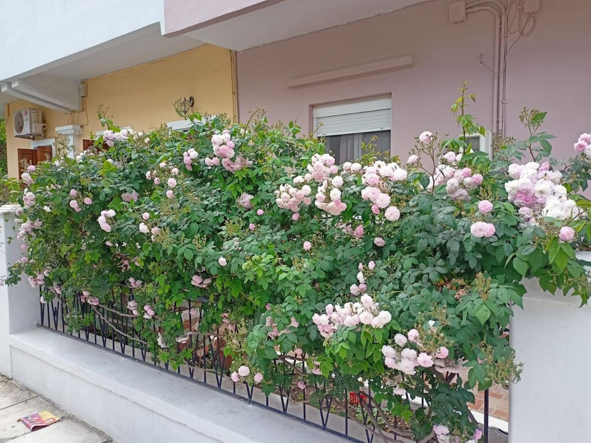 Family House Kos Down Town Apartment Exterior photo